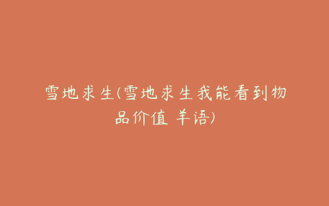 雪地求生(雪地求生我能看到物品价值 羊语)