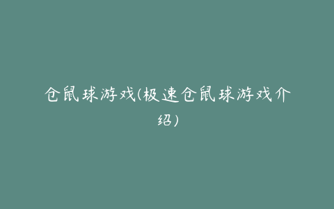 仓鼠球游戏(极速仓鼠球游戏介绍)