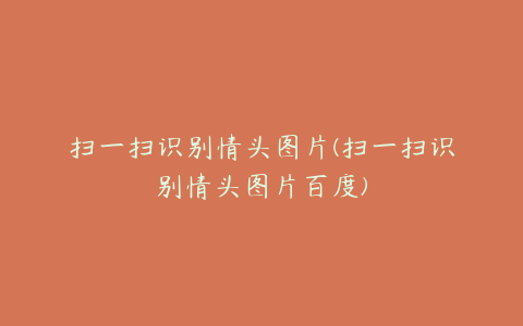 扫一扫识别情头图片(扫一扫识别情头图片百度)
