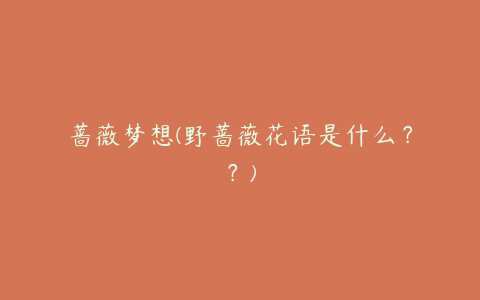 蔷薇梦想(野蔷薇花语是什么??)