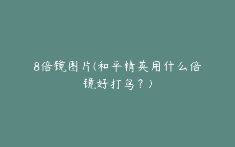 8倍镜图片(和平精英用什么倍镜好打鸟?)