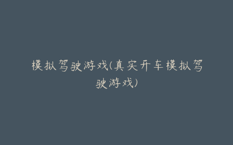 模拟驾驶游戏(真实开车模拟驾驶游戏)