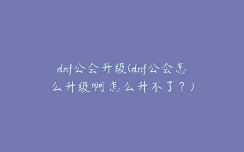 dnf公会升级(dnf公会怎么升级啊 怎么升不了?)