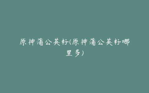 原神蒲公英籽(原神蒲公英籽哪里多)
