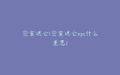 密室逃亡(密室逃亡npc什么意思)