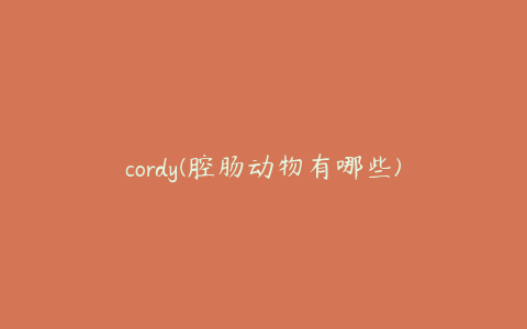 cordy(腔肠动物有哪些)