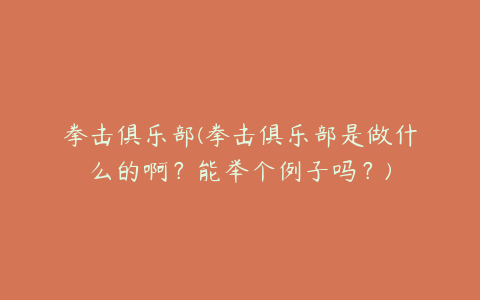 拳击俱乐部(拳击俱乐部是做什么的啊?能举个例子吗?)