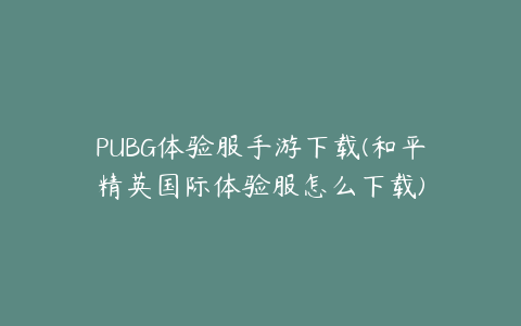 PUBG体验服手游下载(和平精英国际体验服怎么下载)