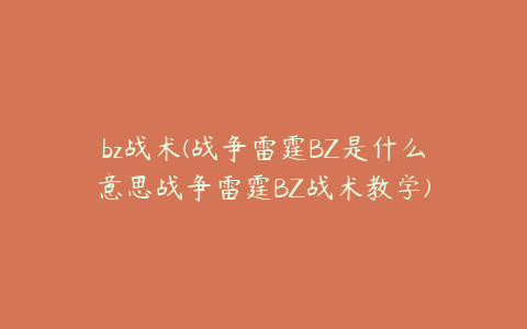 bz战术(战争雷霆BZ是什么意思战争雷霆BZ战术教学)