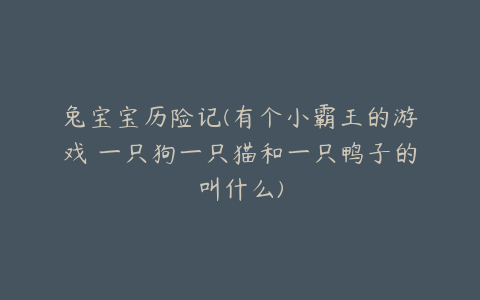 兔宝宝历险记(有个小霸王的游戏 一只狗一只猫和一只鸭子的叫什么)