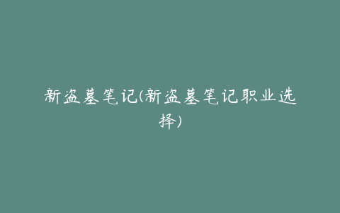 新盗墓笔记(新盗墓笔记职业选择)