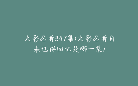 火影忍者347集(火影忍者自来也得回忆是哪一集)