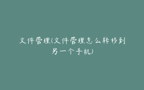 文件管理(文件管理怎么转移到另一个手机)