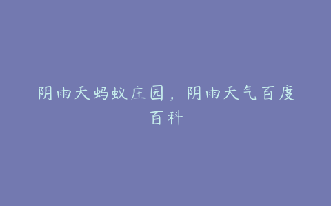 阴雨天蚂蚁庄园,阴雨天气百度百科