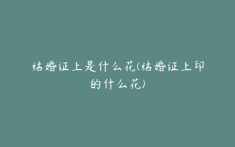 结婚证上是什么花(结婚证上印的什么花)