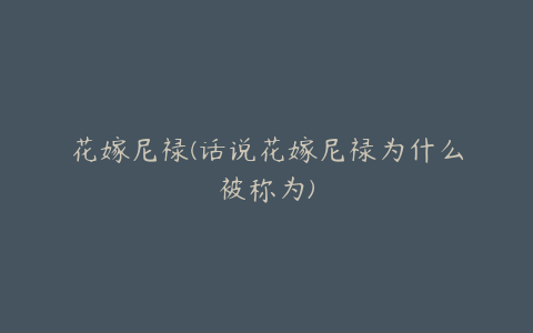 花嫁尼禄(话说花嫁尼禄为什么被称为)
