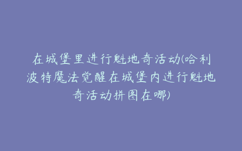 在城堡里进行魁地奇活动(哈利波特魔法觉醒在城堡内进行魁地奇活动拼图在哪)